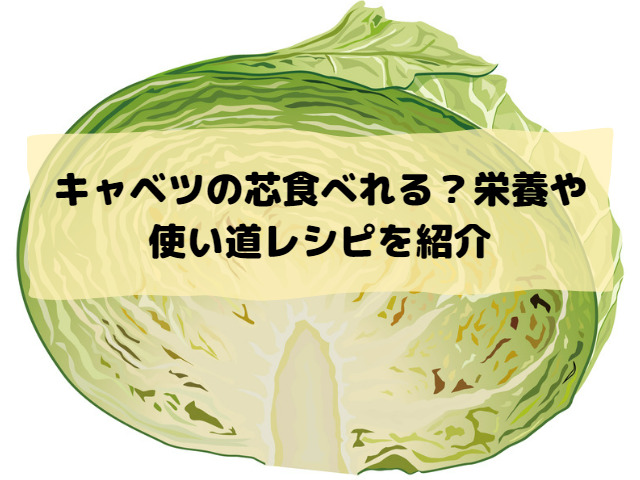 キャベツの芯食べれる？栄養や使い道レシピを紹介